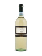 Casa Vinicola Gerardo Cesari Cesari Soave Classico Doc